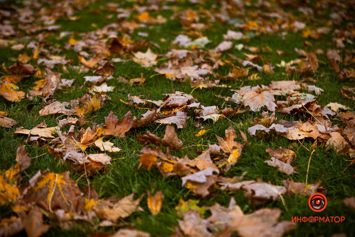 Уже октябрь, читатели мои,