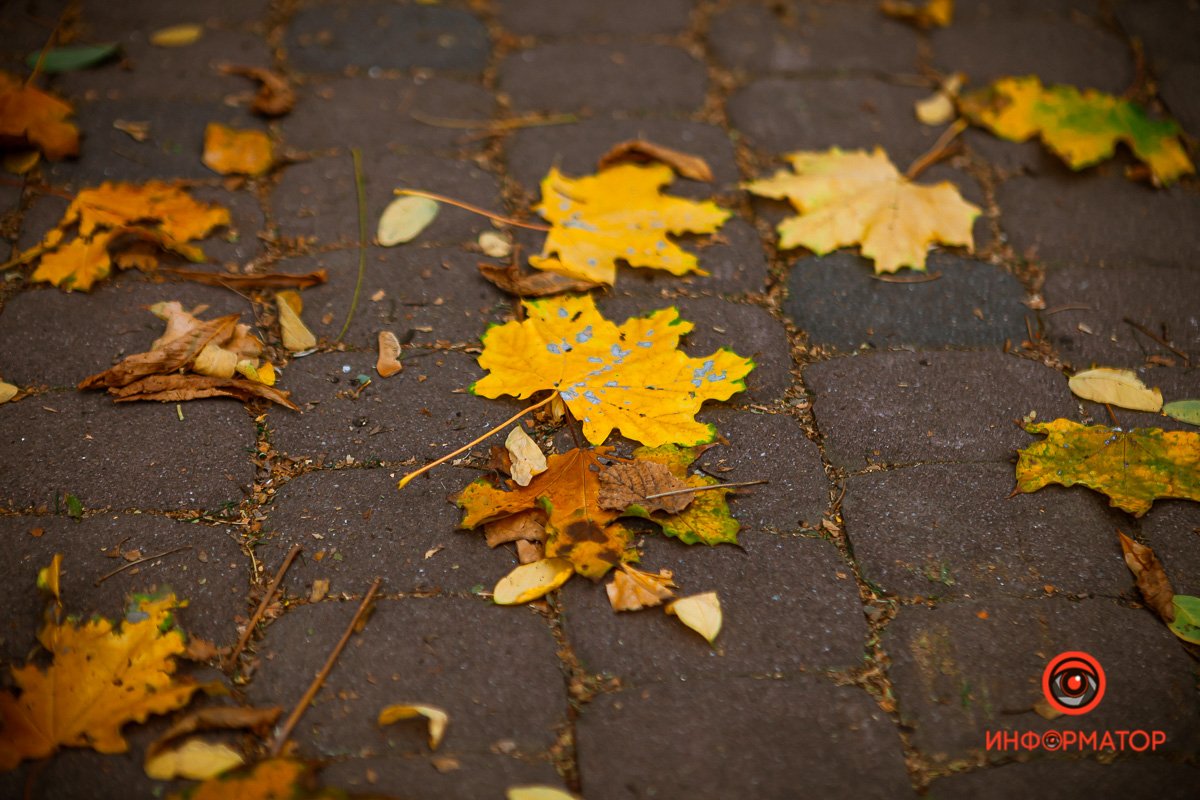 Спешат, спешат над нами облака,