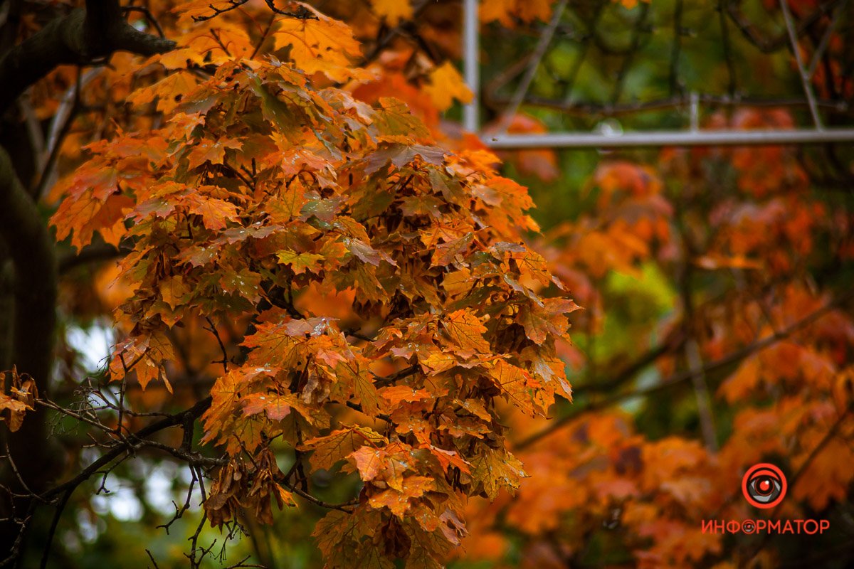 Когда придет октябрь - уходи,