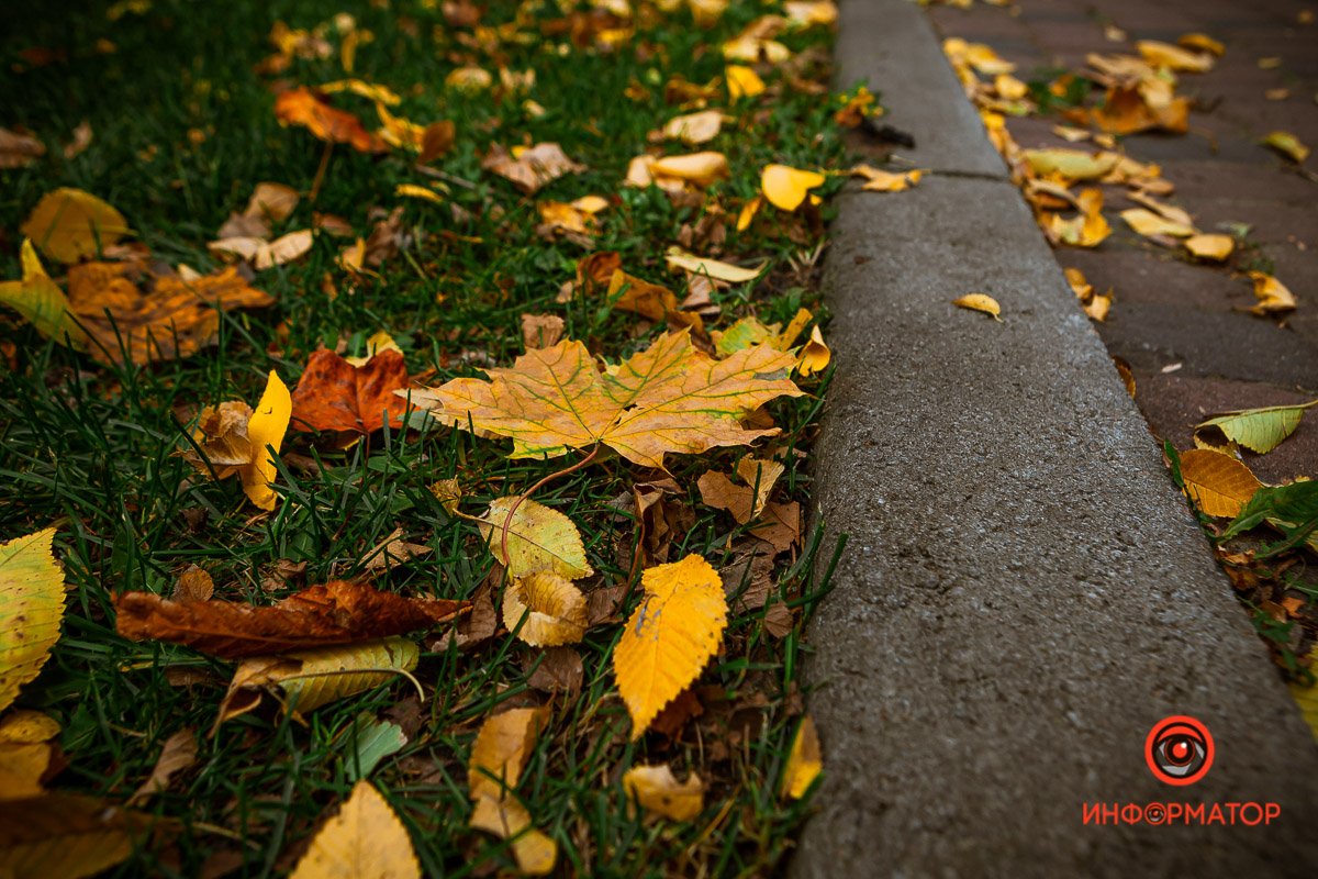 Обманывать, губить и гулять