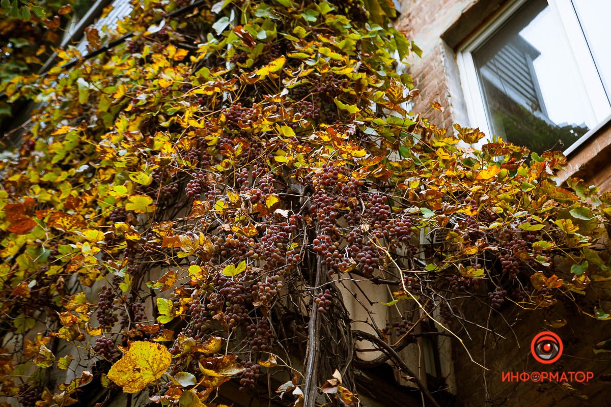 Вечерней службы колокол гудит, Шаги моих прохожих замело. Стучит машинка. Шествие прошло.