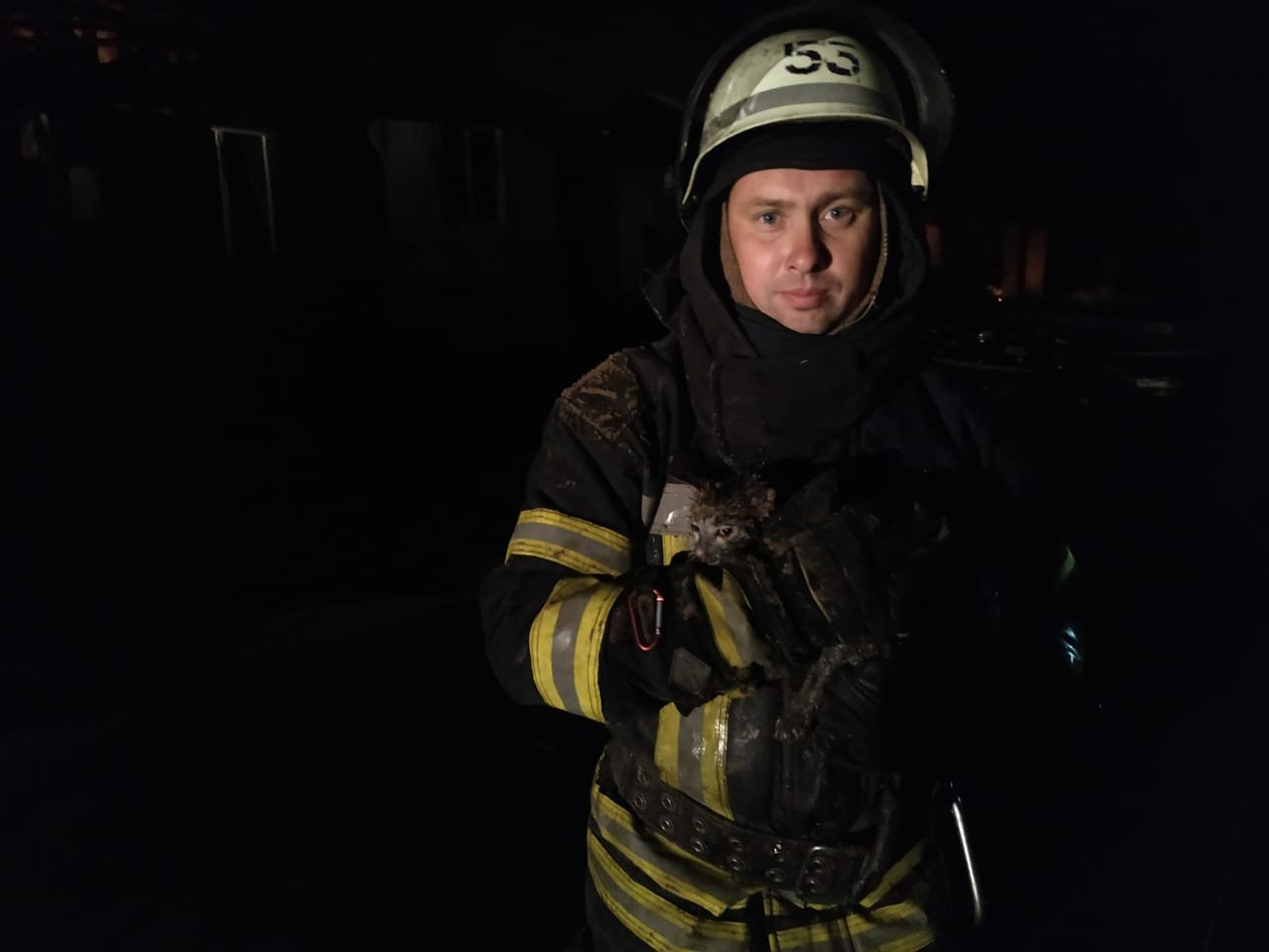 Спасли котика Спасли котика