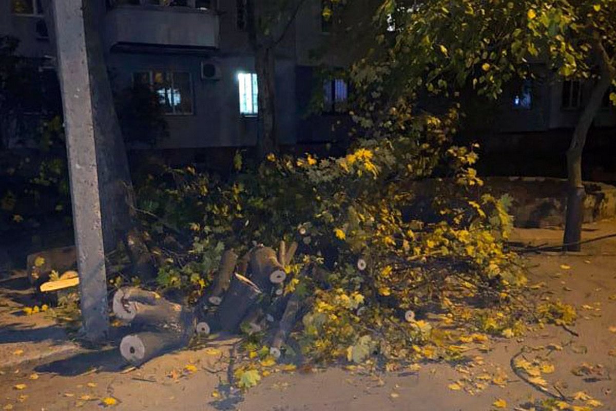 Спасатели распилили его и убрали на обочину