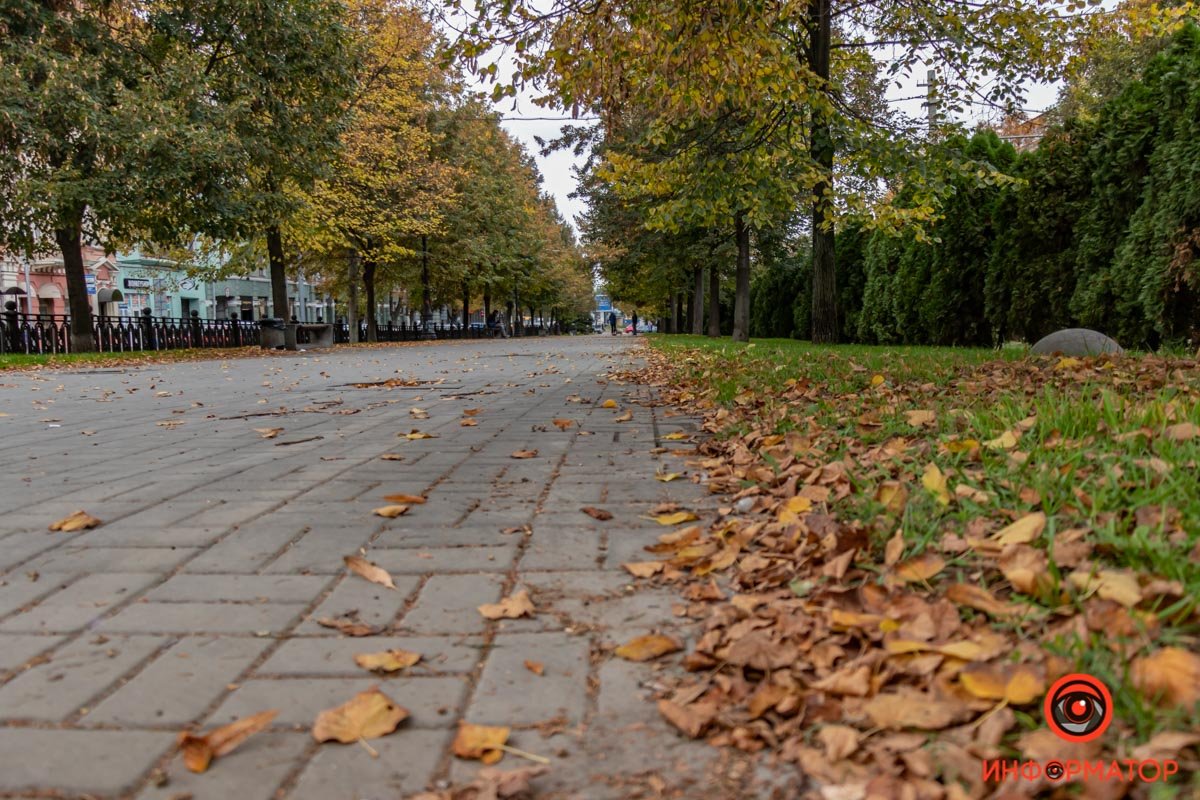 Тротуары укрыты сухим слоем листьев