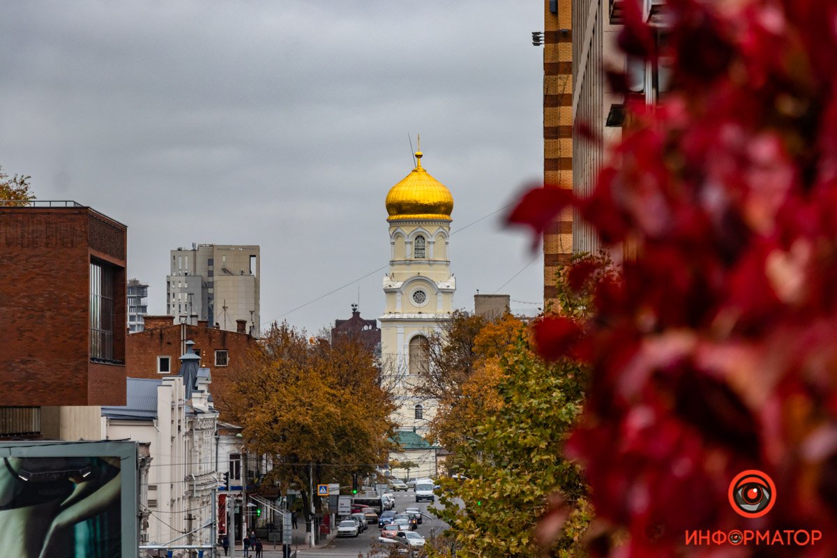 На сером небе четче видны естественные краски осени