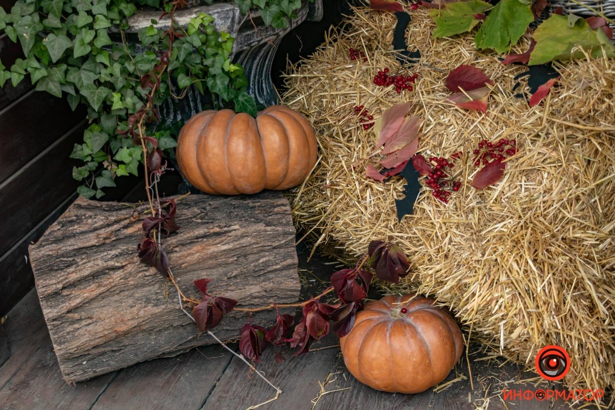 Самое время готовиться к Хэллоуину