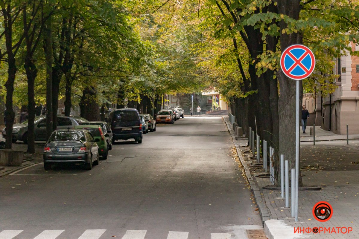 Сквозь паутину веток и слой облаков начинают пробиваться солнечные лучи