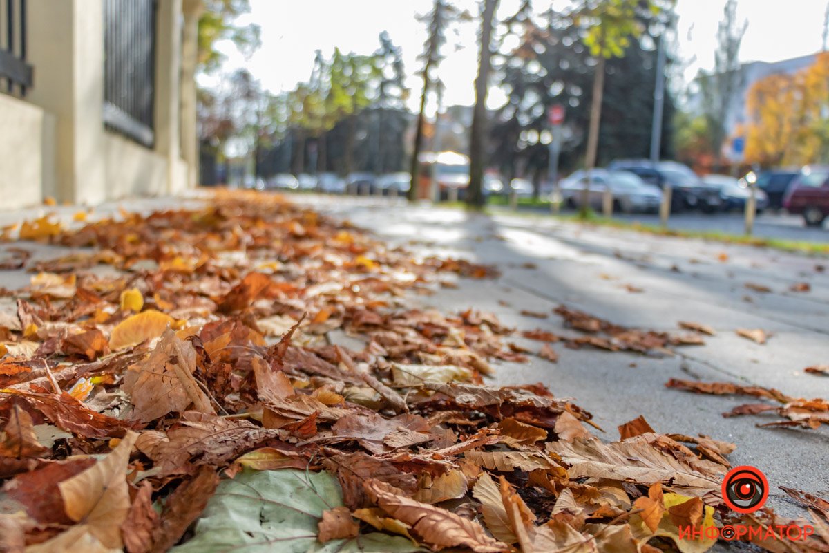 Свет постепенно заполняет тротуары