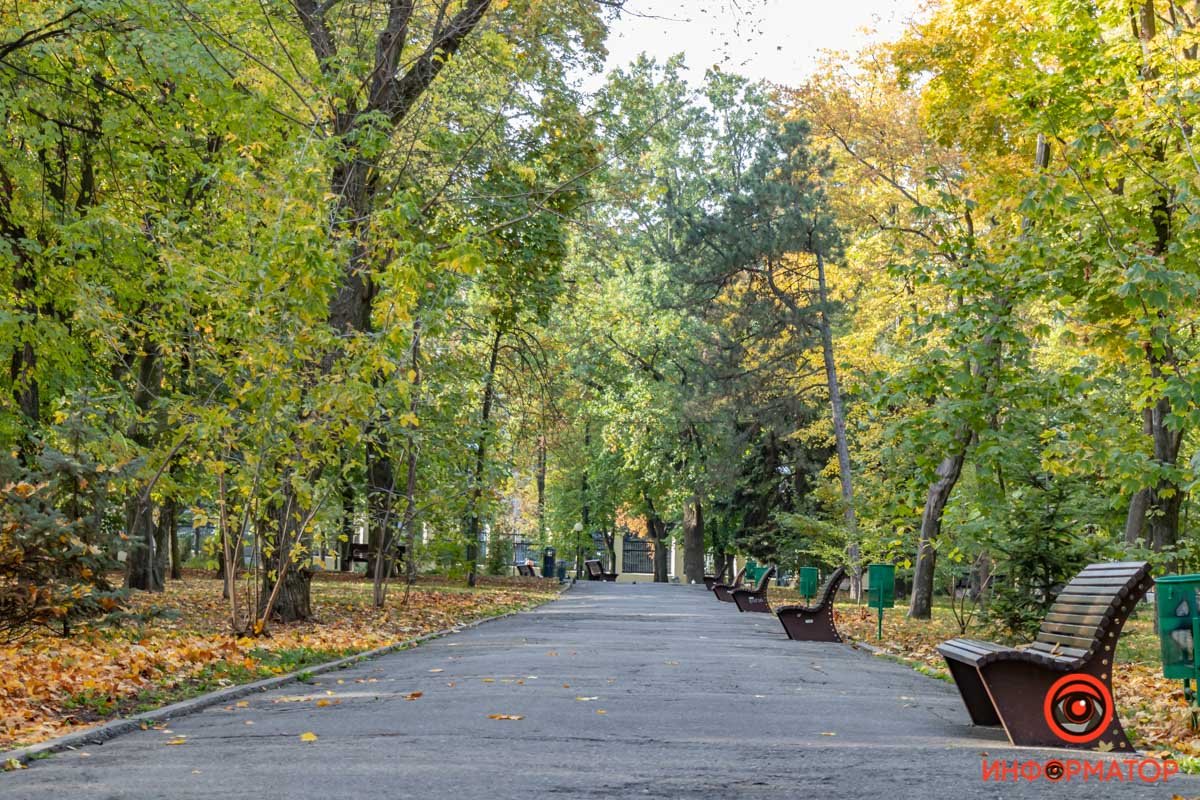 Теперь солнечно