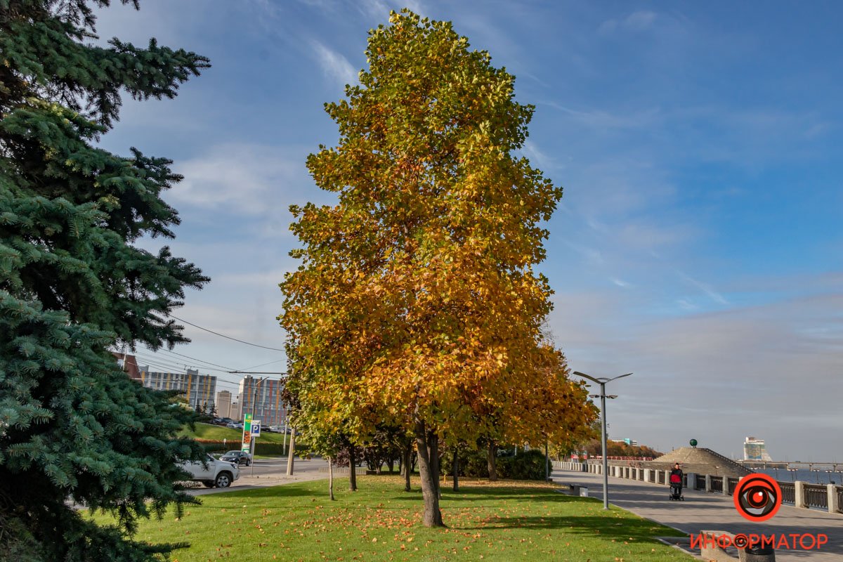 Очень много света