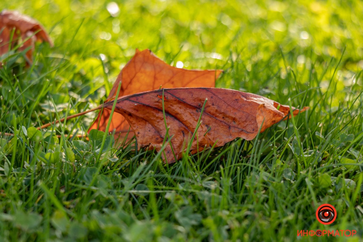 Следы октября