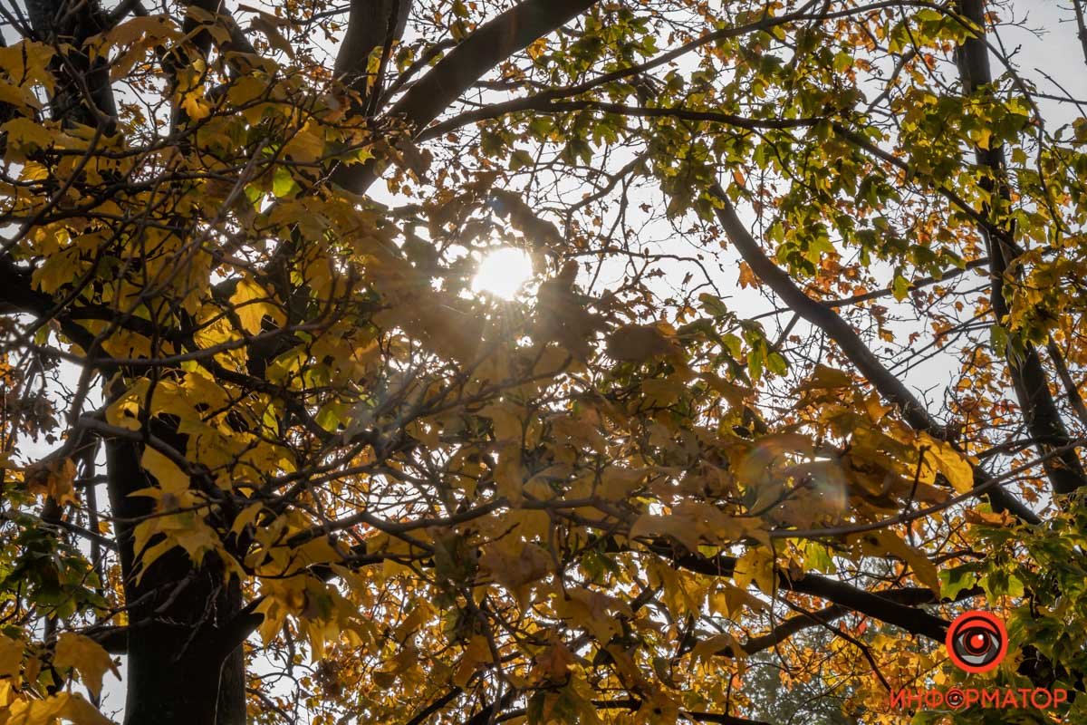 Впрочем, может ли быть художник талантливее природы?