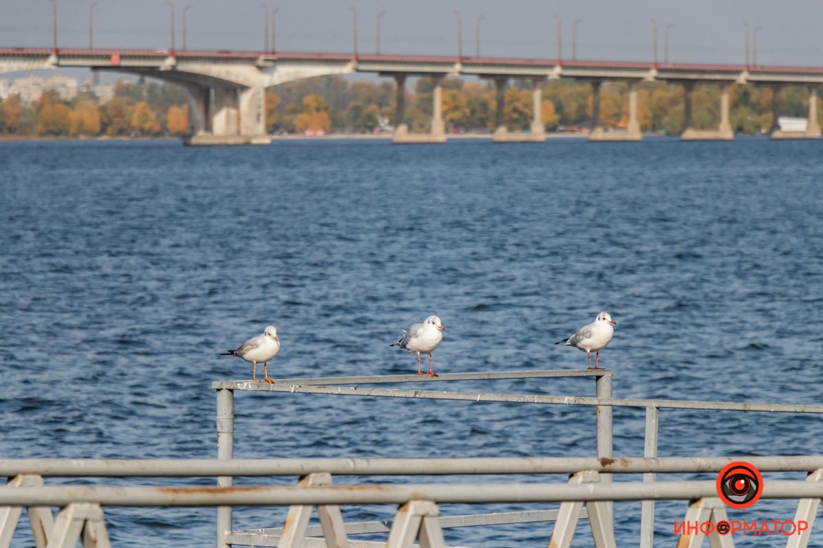 Релакс для глаз
