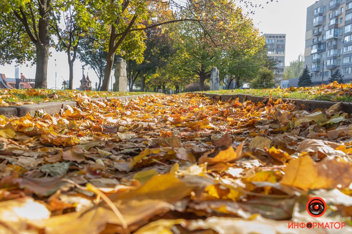 У природы нет плохой погоды