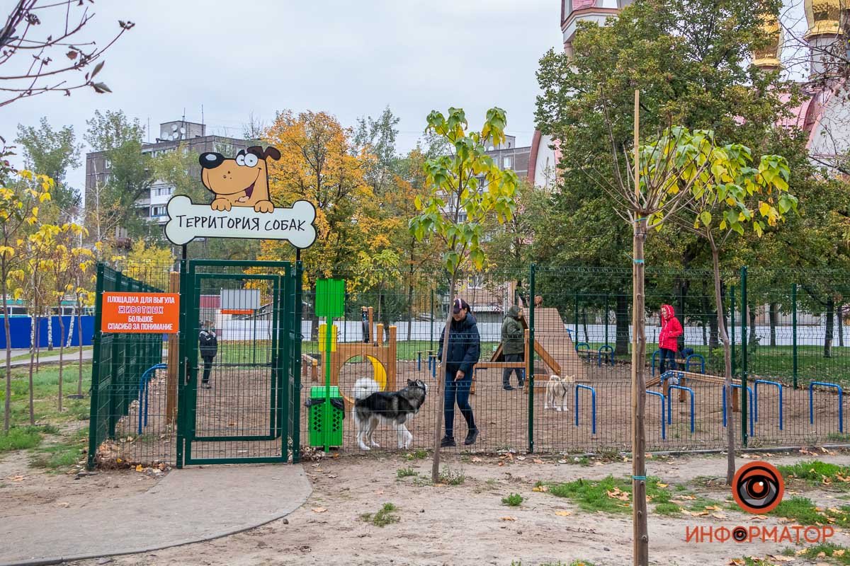 Площадка для собак Площадка для собак