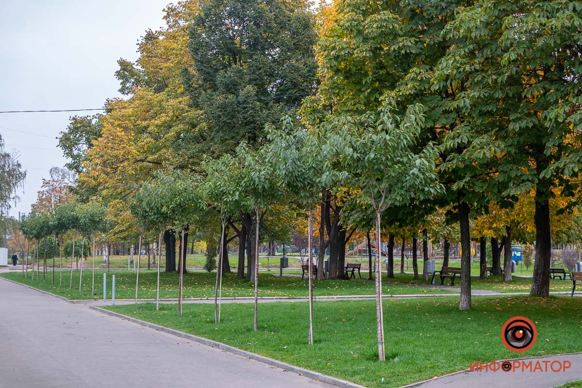 Зеленые насаждения Зеленые насаждения