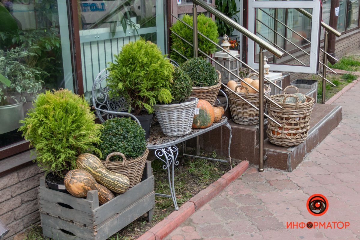 Сами костюмы на Хэллоуин значительно эволюционировали за прошедший век. Изначально костюмы были образами уродливых исхудалых лиц людей. Это выглядело далеко не празднично и достаточно пугающе