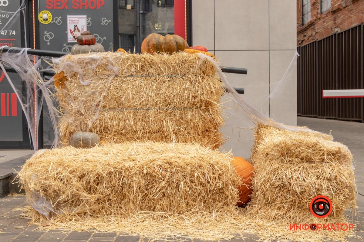 Секс-шопы больше всего готовы к праздникам