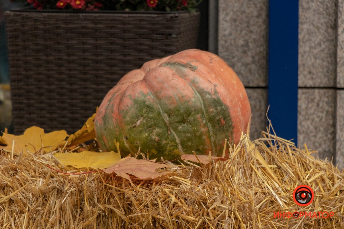 Как украсили Днепр перед Хеллоуином 32