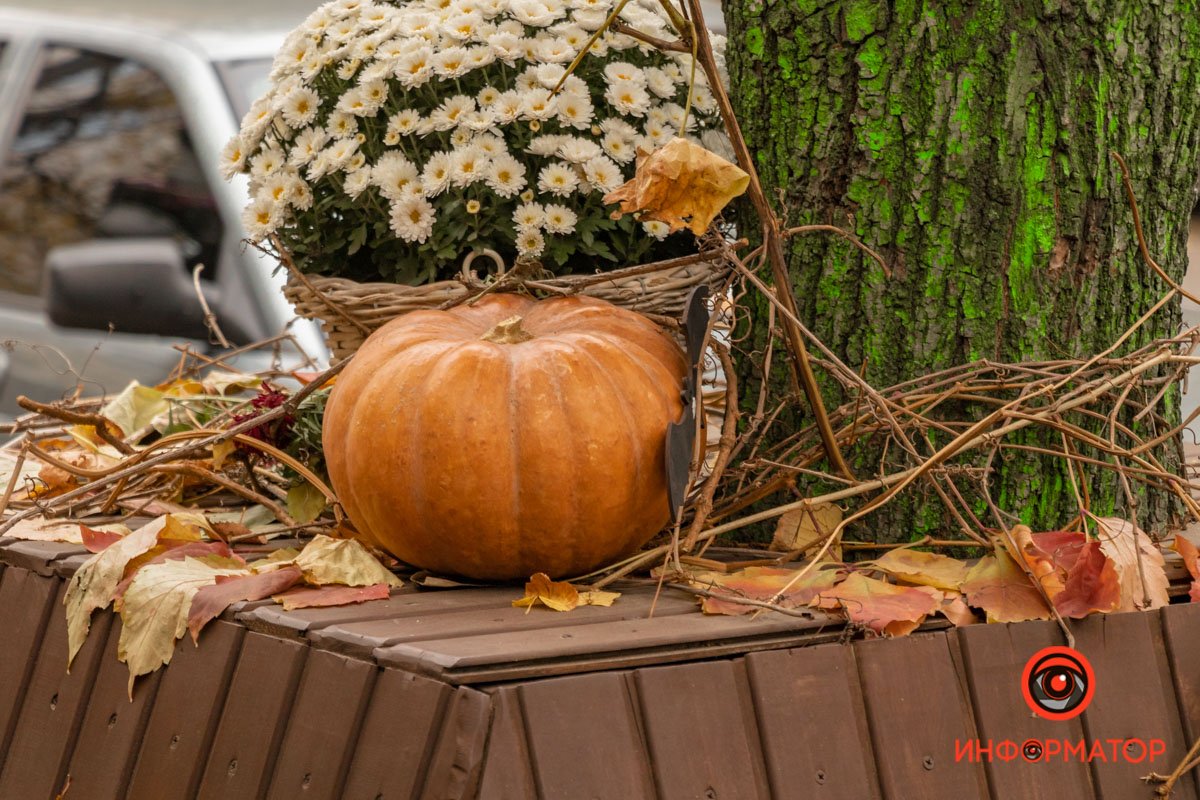 Как украсили Днепр перед Хеллоуином 35