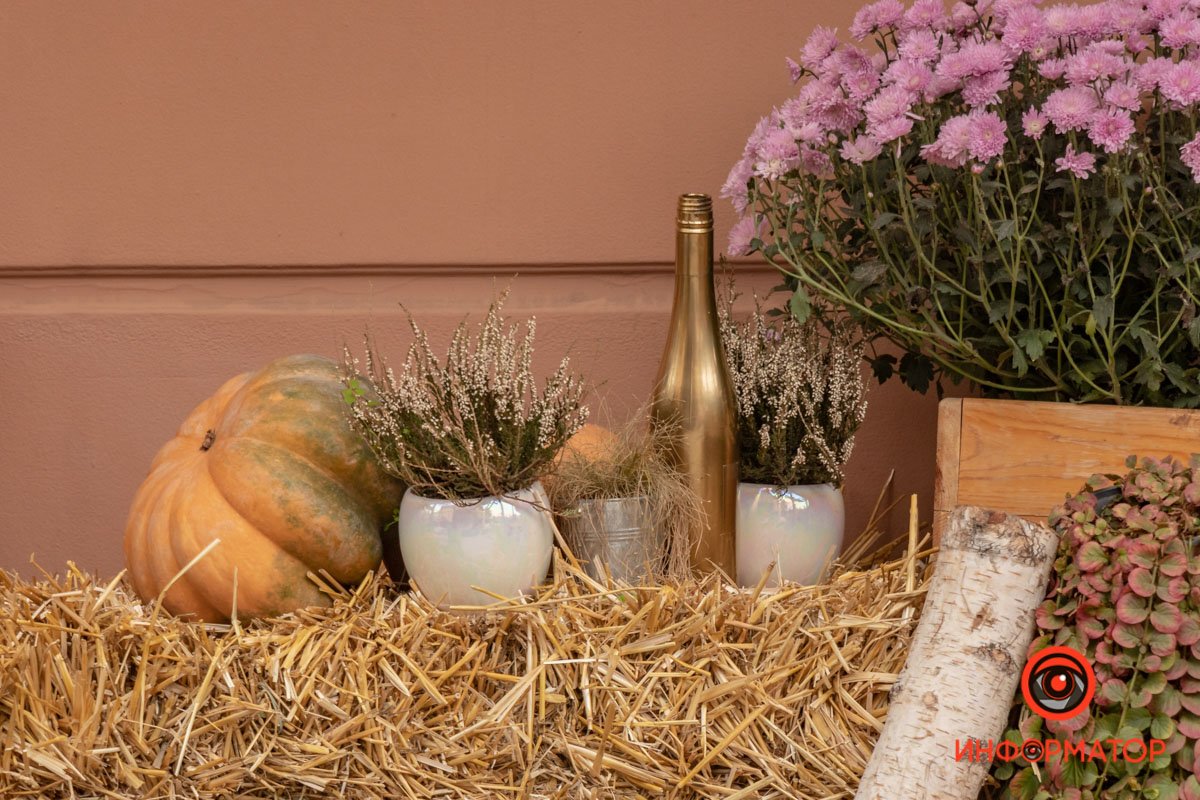 Как украсили Днепр перед Хеллоуином 37