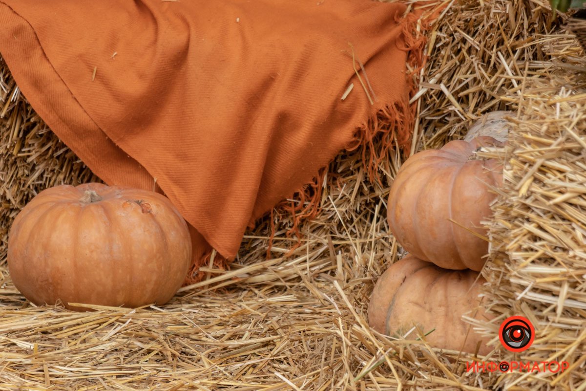 Как украсили Днепр перед Хеллоуином 38