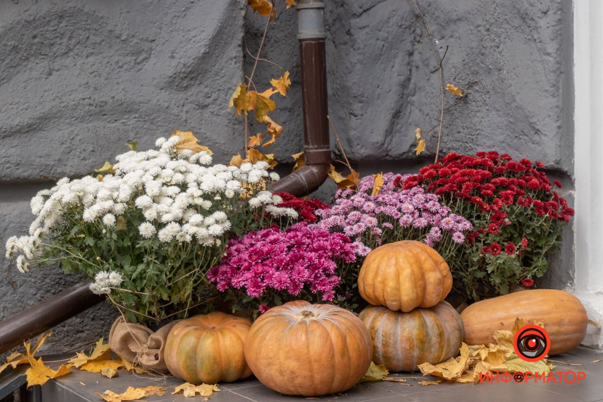 Как украсили Днепр перед Хеллоуином 47