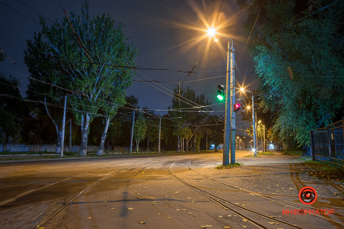 Шорох листьев заставляет тревожиться