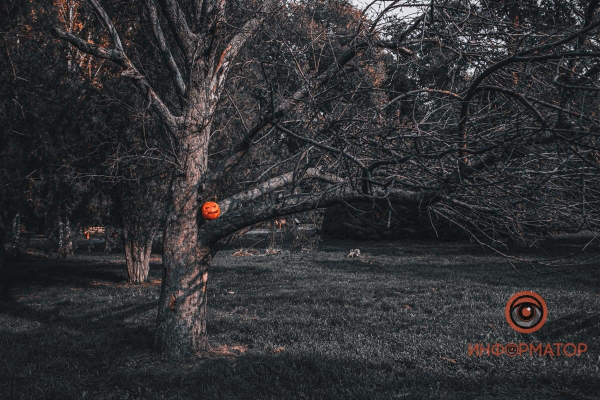 Когда крадут чужое 