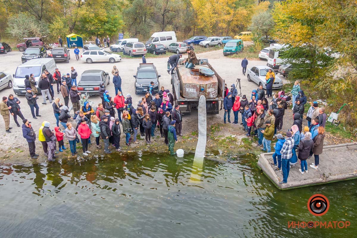 Такие рыбы едят водоросли, которые загрязняют Днепр Такие рыбы едят водоросли, которые загрязняют Днепр