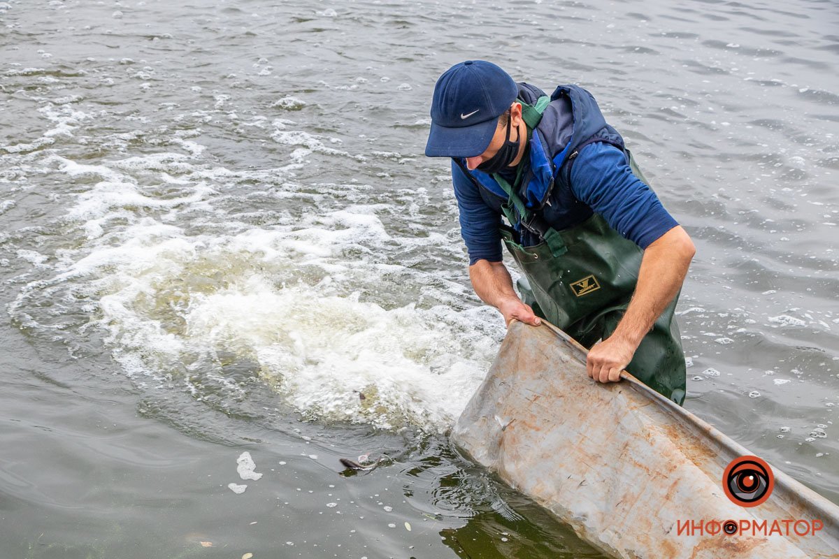 Поехали! Поехали!