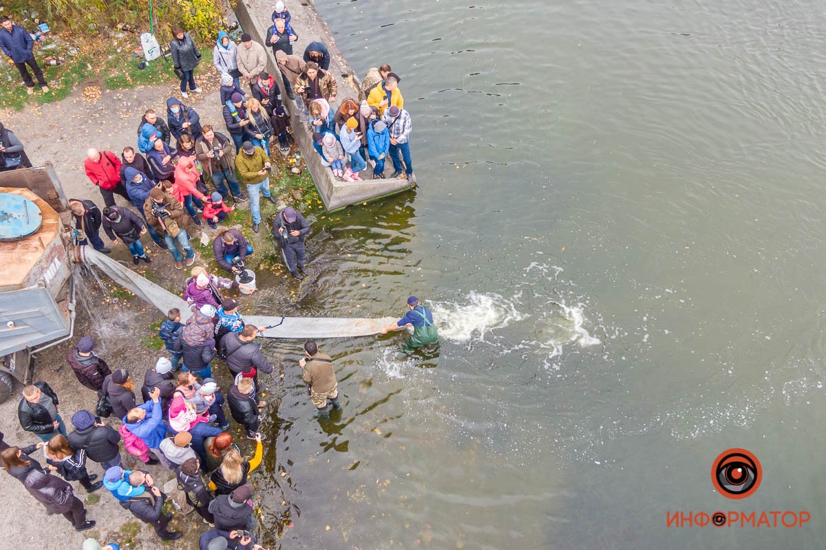 Зарыбление Днепра Зарыбление Днепра
