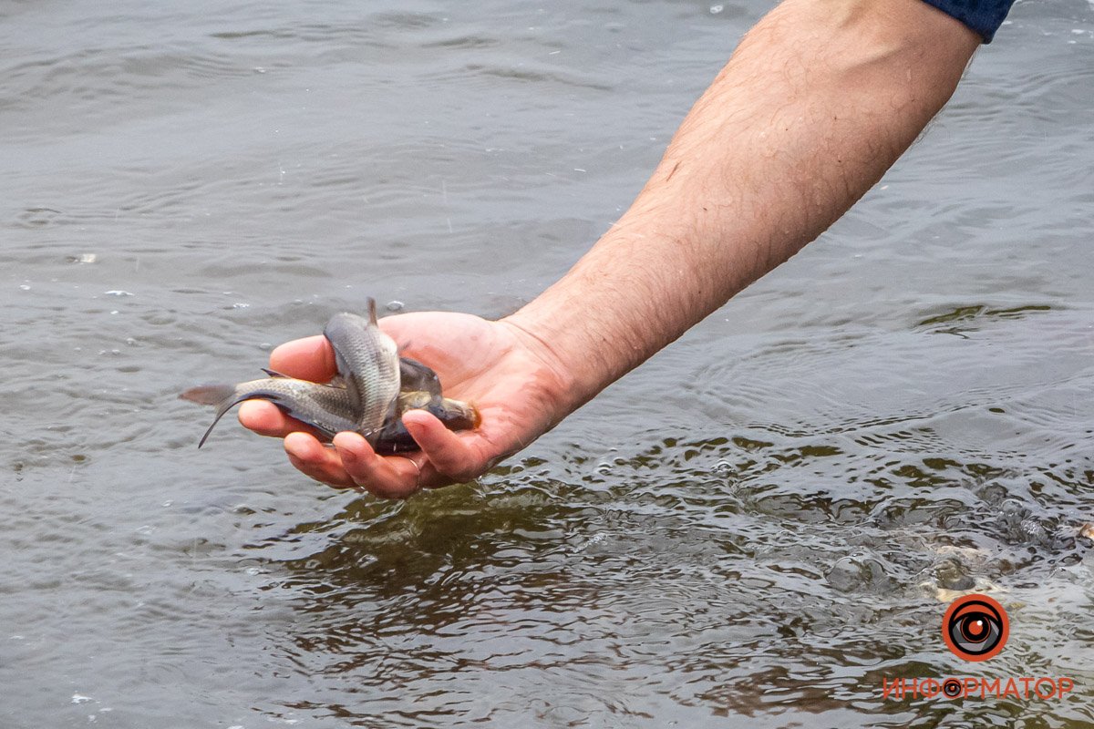 Мелочь :) Мелочь :)