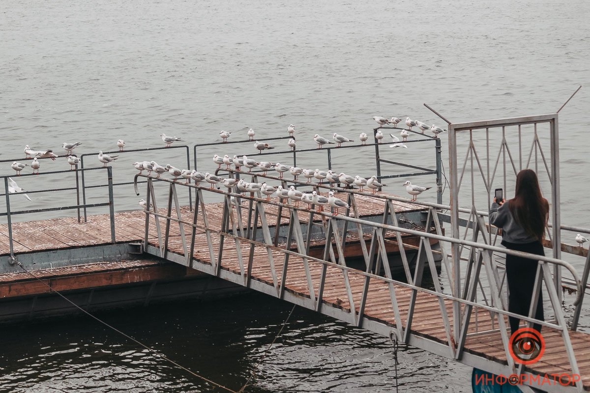 Сколько лиц видите?