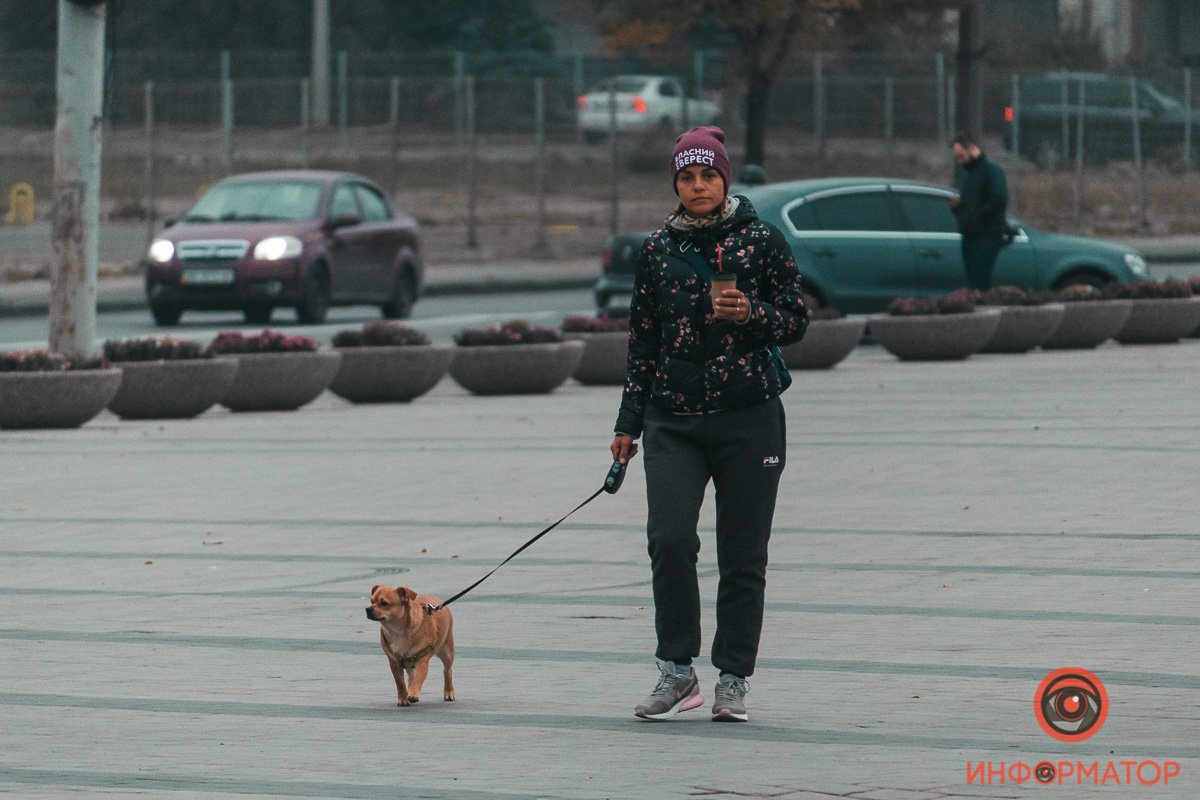 Собака тоже хочет чего-то тепленького