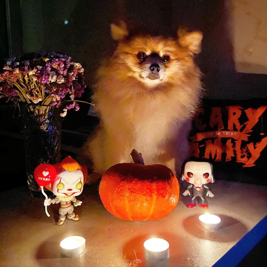 Фото: @cheery.richie