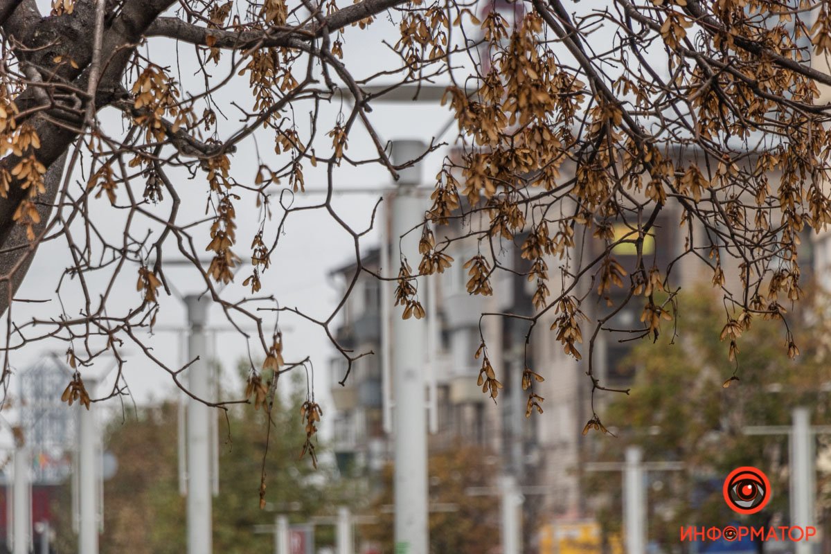 Хорошей погоды совершенно достаточно для счастья, а в плохую можно, к примеру, испечь яблочный пирог