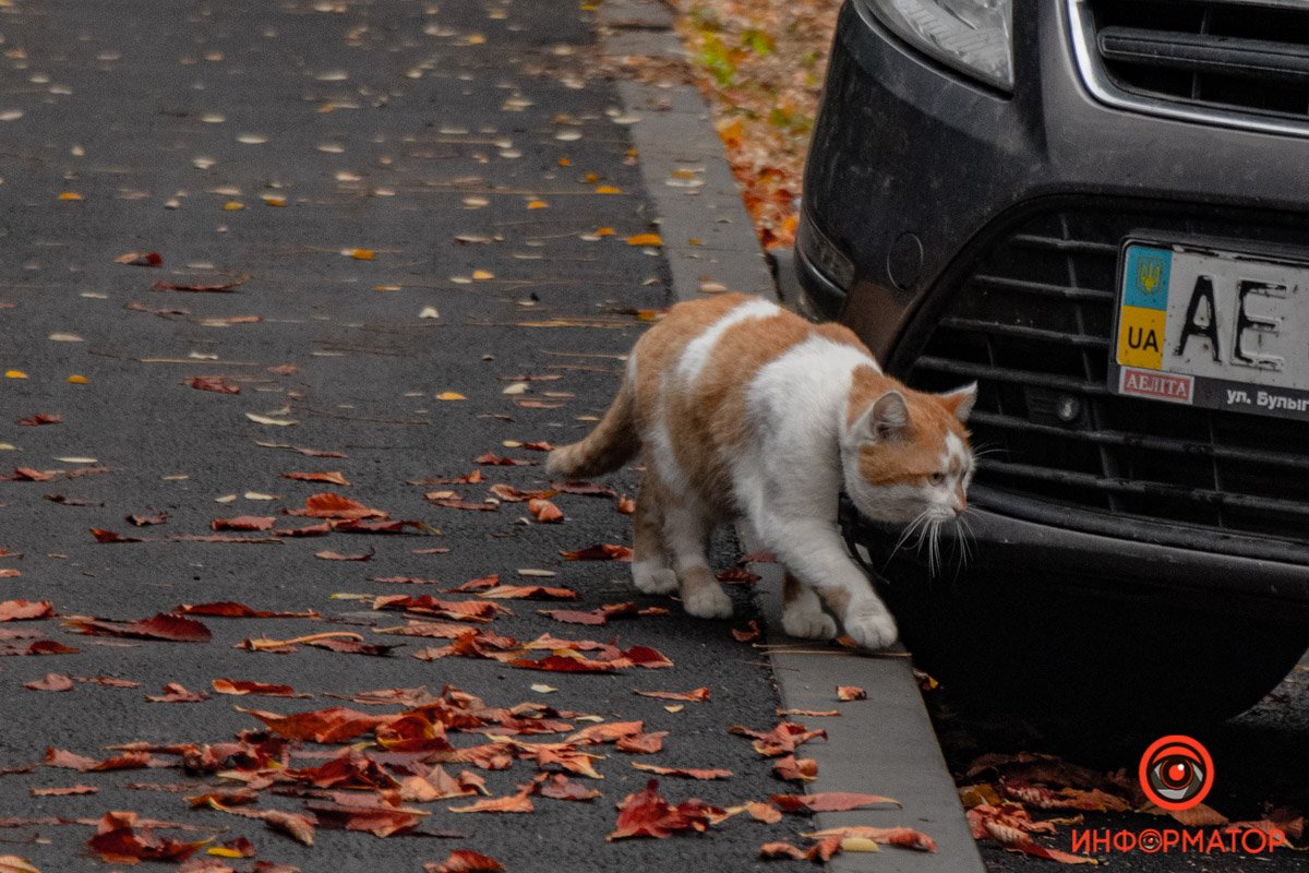 Вроде бы не холодно. Пойду поем