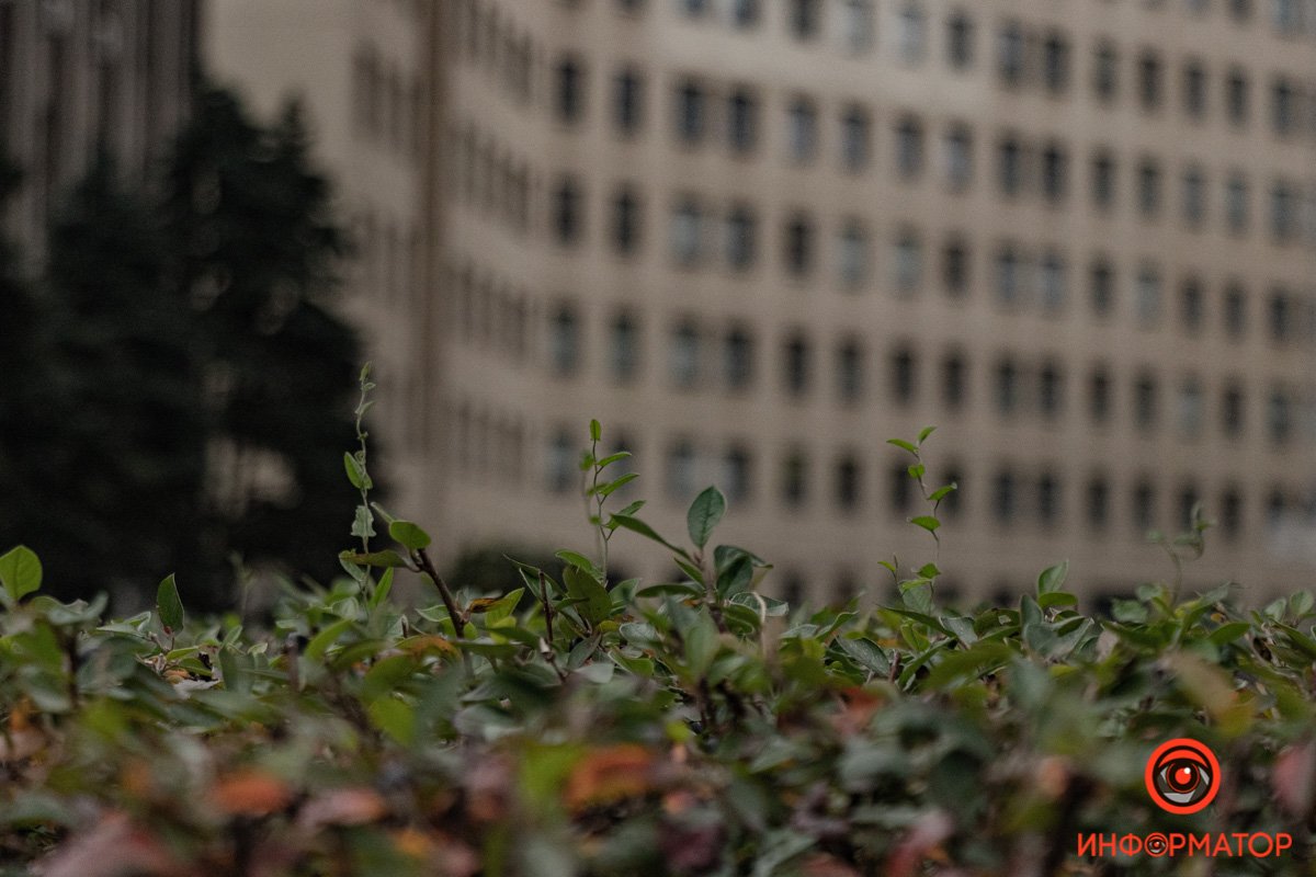 Если нельзя управлять погодой, то можно не обращать на неё внимания