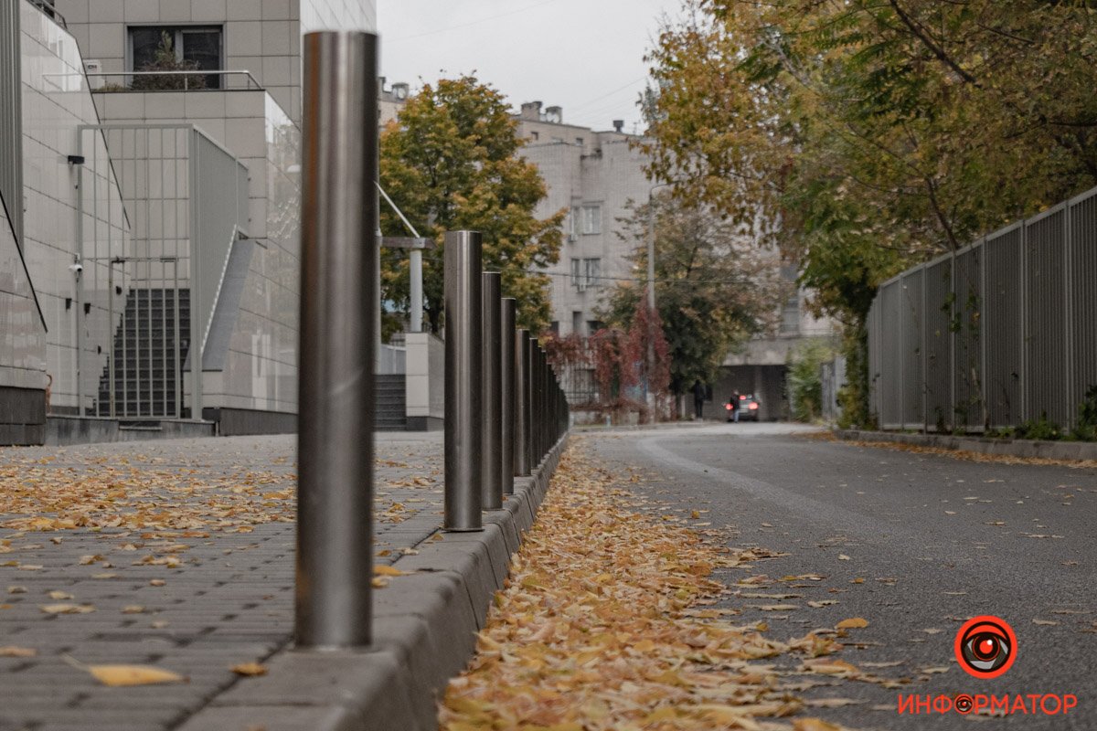 Листья лежат, как подбитые птицы, лапками вверх