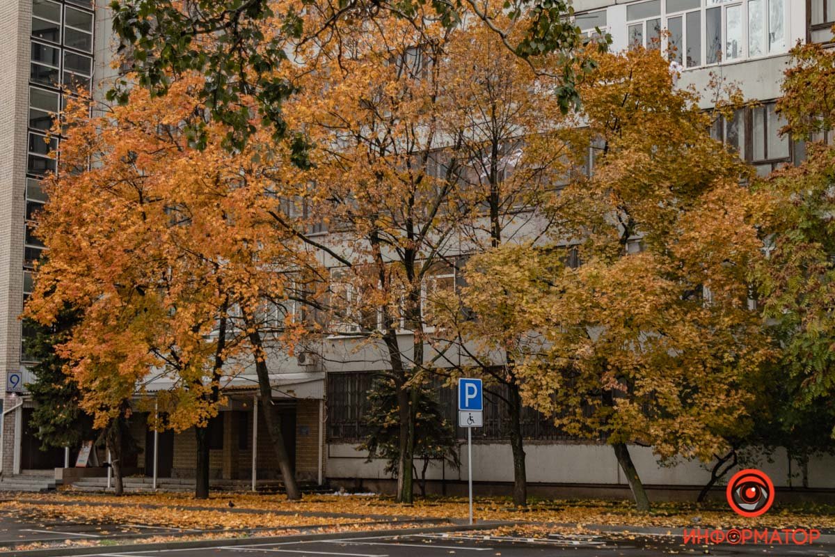 Улицы объяты ноябрем
