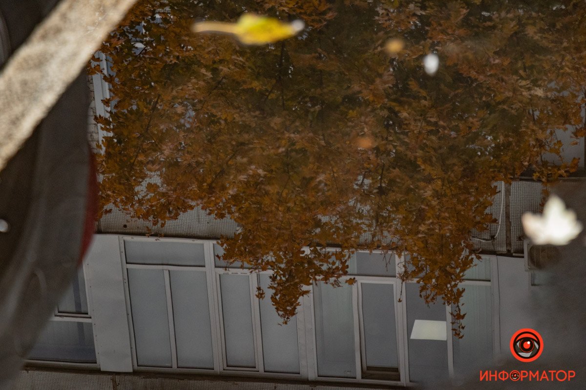 И что это за синоптики, которые не могут самый обычный дождь угадать?