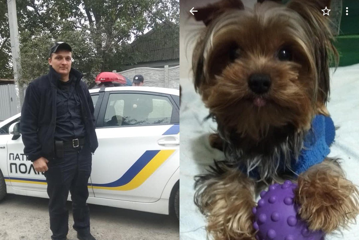 В Днепре патрульные вернули хозяйке маленького Йорка, который сбежал из дома 1
