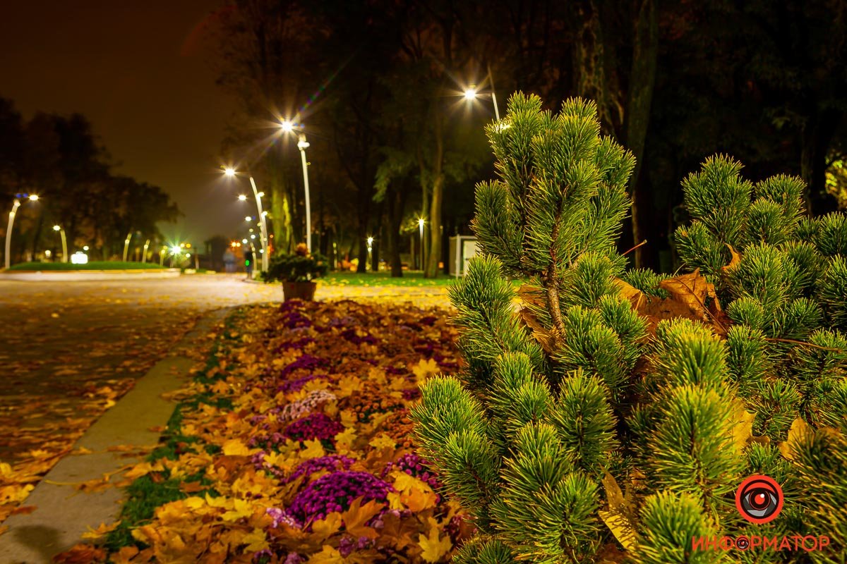 Очень много цветов