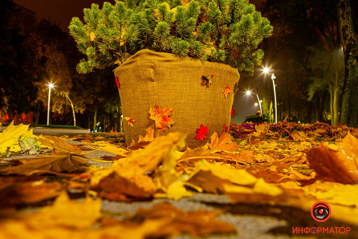 Осенняя картинка