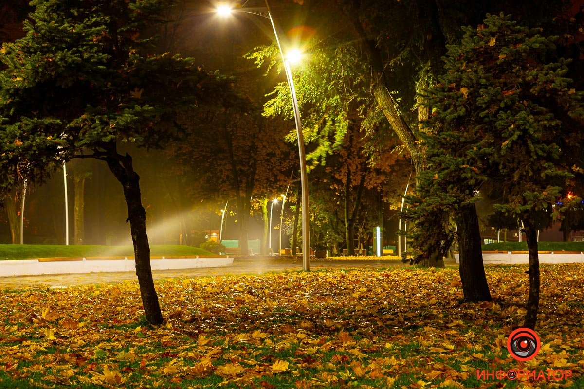 Мягкий свет окутал волшебным облаком парк
