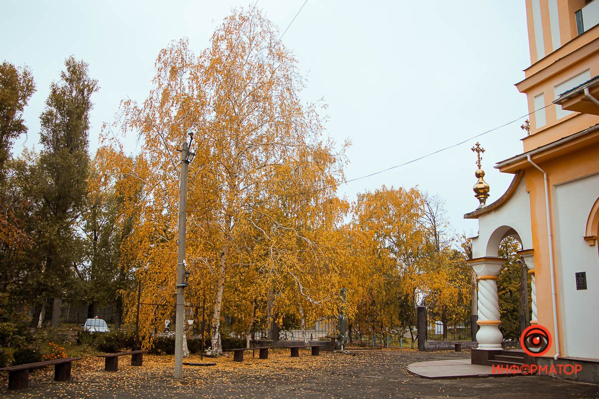 Золотистые краски Золотистые краски