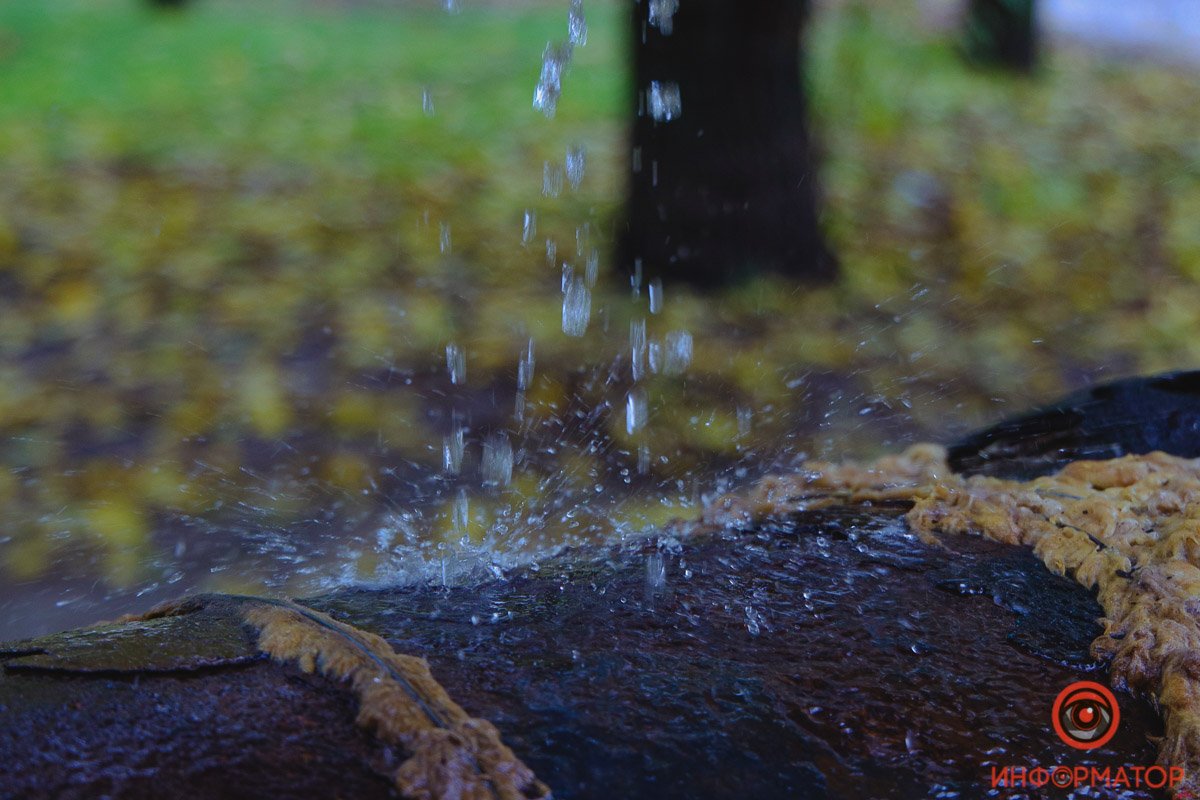 Рядом находится школа и роллердром