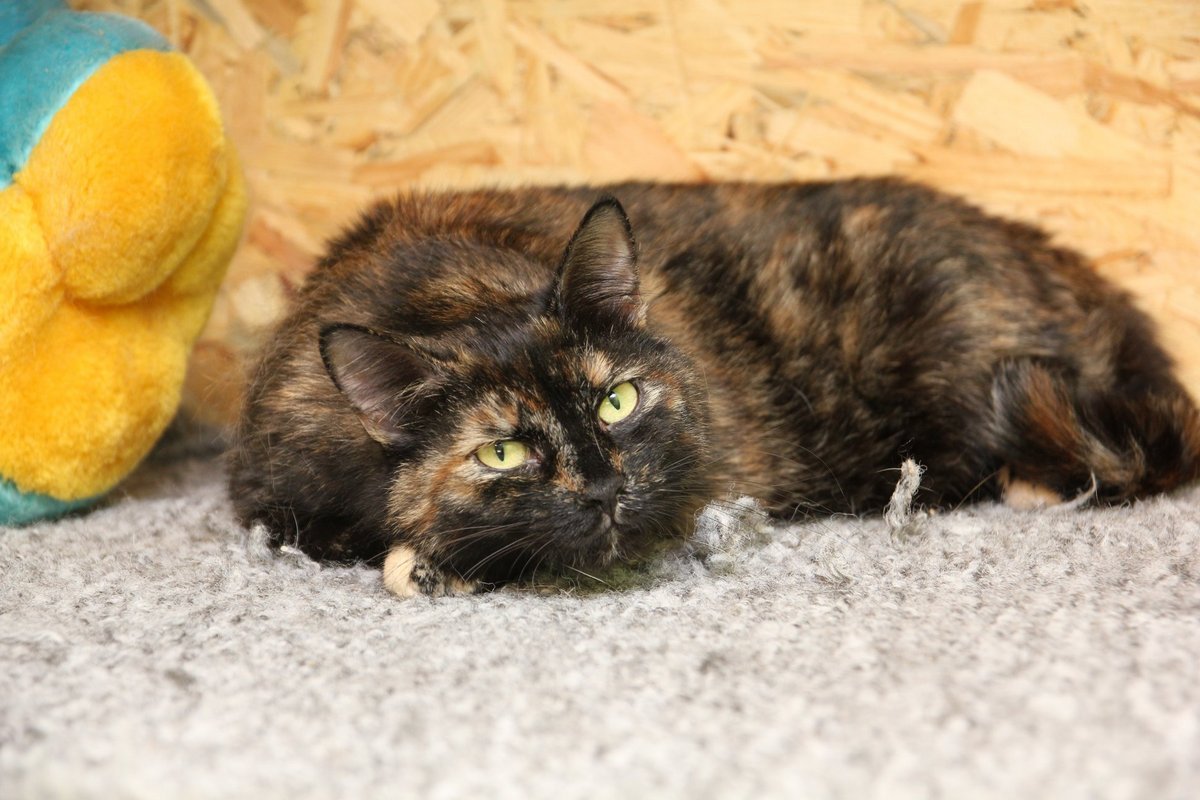 Хочется верить, что у этой истории будет счастливый финал Хочется верить, что у этой истории будет счастливый финал