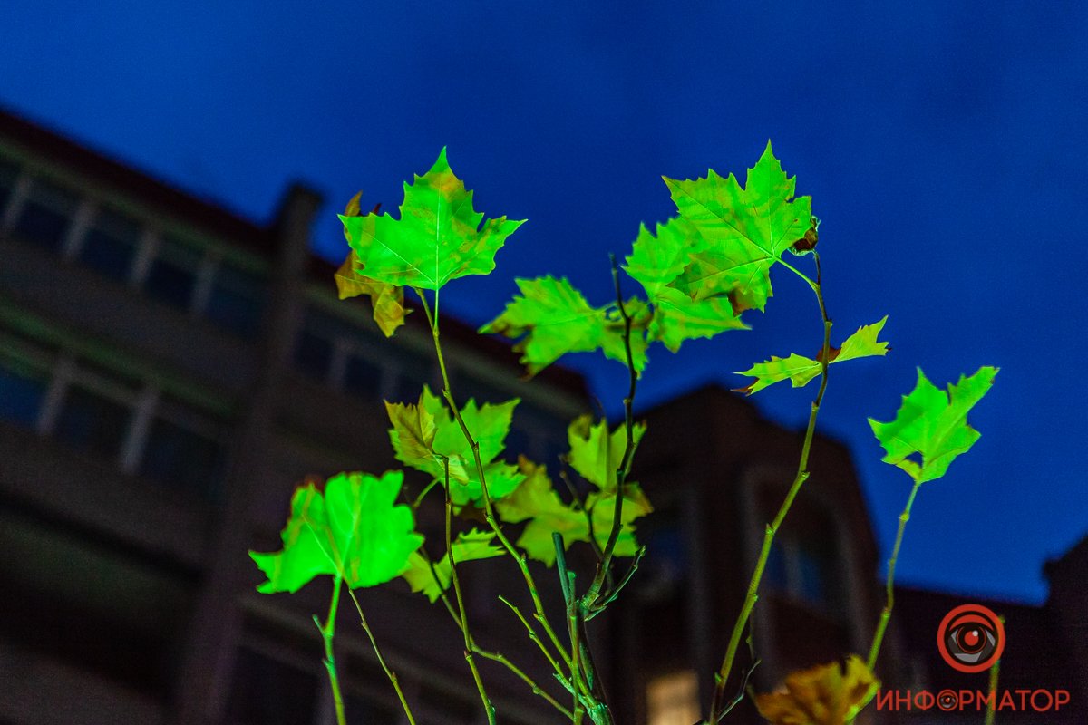 В Днепре реконструируют улицу Южную: как она выглядит сейчас 5